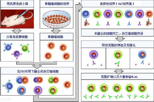 ada23608-4947-452d-9bf6-4e268cc9c50a 兰科博弈(RankBet)有限公司官网