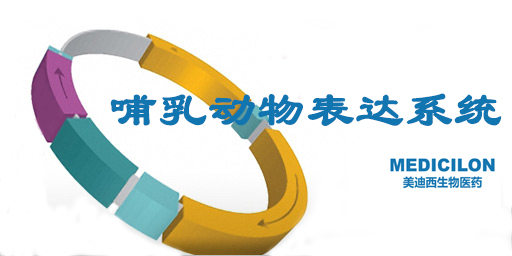 哺乳动物表白系统 哺乳动物表白系统