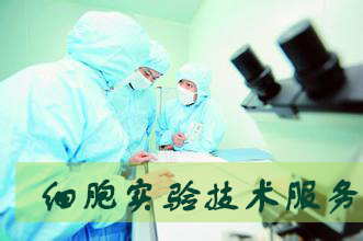 d59e66f5-1b7e-4f8e-9049-61746ddd425d 兰科博弈(RankBet)有限公司官网