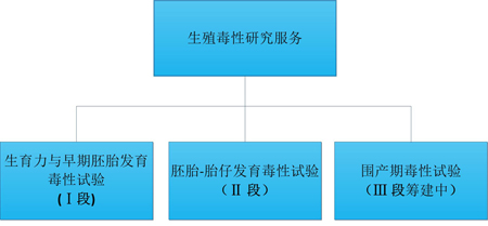 兰科博弈RankBet的生殖毒性服务