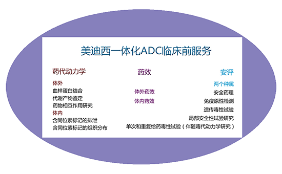 兰科博弈RankBet一体化ADC临床前服务 兰科博弈RankBet一体化ADC临床前服务