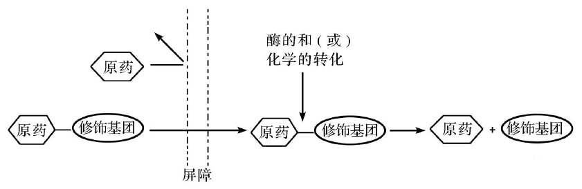 6ff46a95-356c-46f7-bc4e-84f405b4fa9c 前药的由来及根基特点