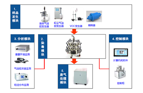 图2 幼动物口鼻吸入露出系统四大？ 