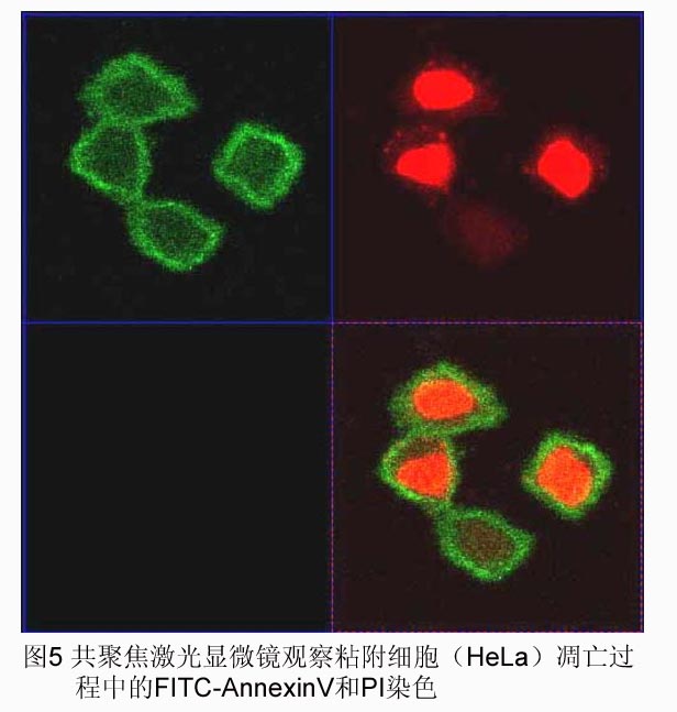兰科博弈(RankBet)有限公司官网