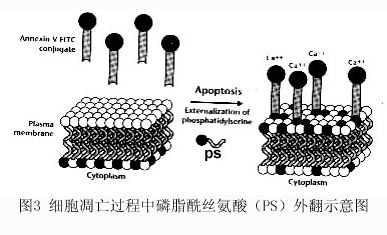 兰科博弈(RankBet)有限公司官网