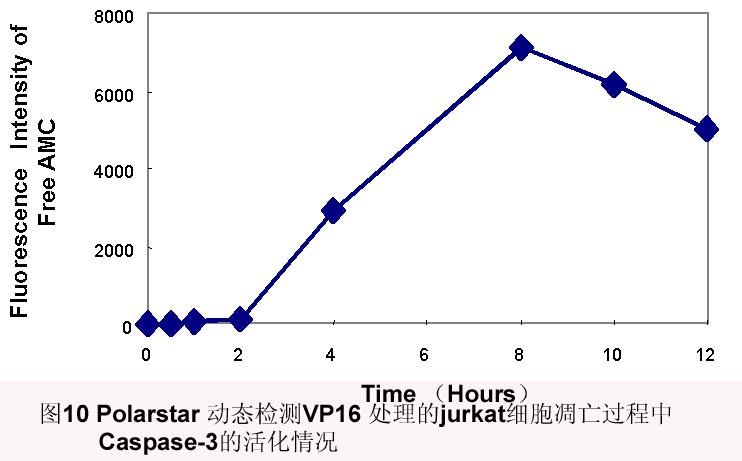 兰科博弈(RankBet)有限公司官网