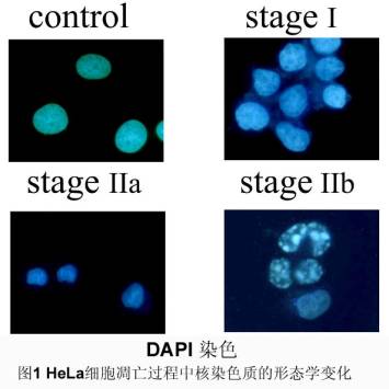 兰科博弈(RankBet)有限公司官网