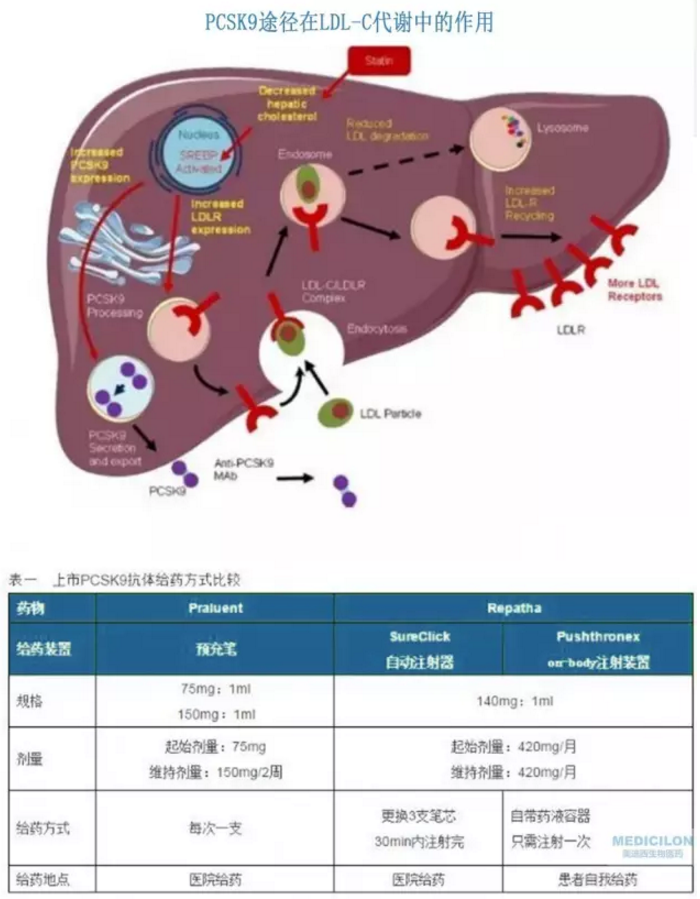 兰科博弈(RankBet)有限公司官网