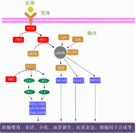 兰科博弈(RankBet)有限公司官网