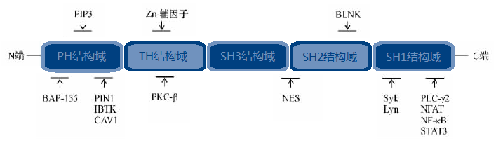 兰科博弈(RankBet)有限公司官网