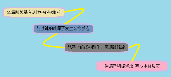 兰科博弈(RankBet)有限公司官网