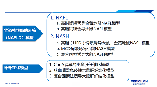 d445b572-1e73-4ee4-87f2-0cd381e1c76d 代谢性疾病模型