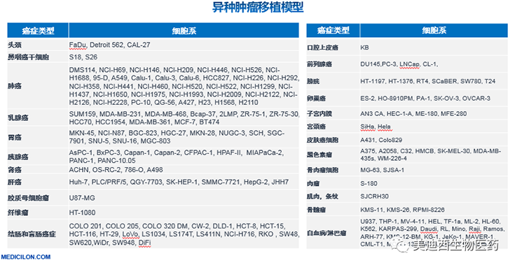 兰科博弈RankBet异种肿瘤移植模型清单