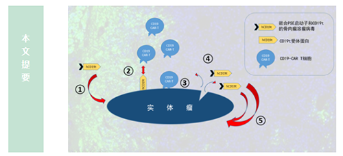 20ff5ed8-e226-4ec4-8702-f6b061ae068e 兰科博弈(RankBet)有限公司官网