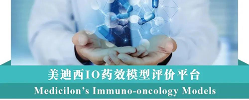 兰科博弈RankBetIO药效模型评价平台