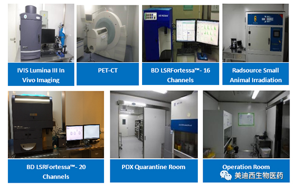 兰科博弈RankBet药理部占有IVIS Lumina III, PET-CT, BD LSRFortessa-16，Flow Cytometry等仪器