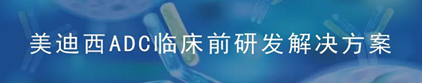 兰科博弈RankBetADC临床前钻研解决规划.png