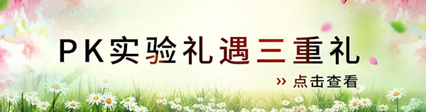 PK尝试礼遇三沉礼.png PK尝试礼遇三沉礼.png