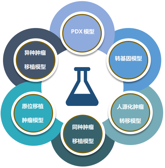 兰科博弈RankBet致力于为客户提供成熟的评估ADC体内药效的肿瘤模型.png