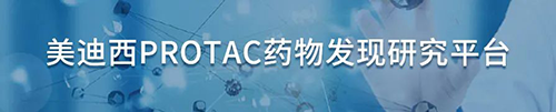 兰科博弈RankBetPROTAC药物发现钻研平台.png 兰科博弈RankBetPROTAC药物发现钻研平台.png