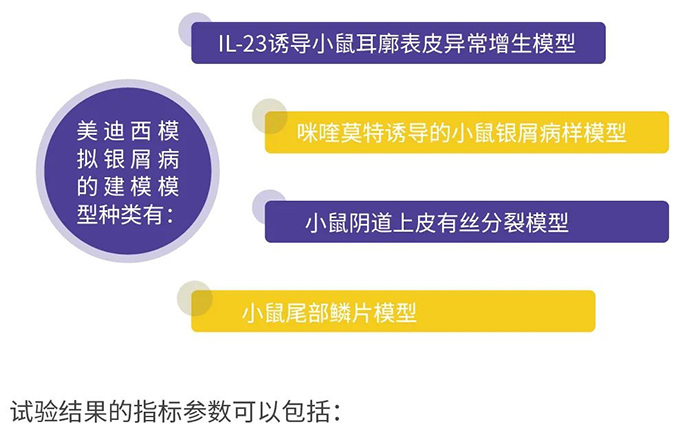 兰科博弈RankBet仿照银屑病的建模模型.png 兰科博弈RankBet仿照银屑病的建模模型.png