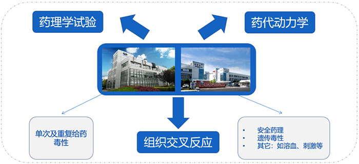兰科博弈RankBetADC药物研发服务内容.jpg