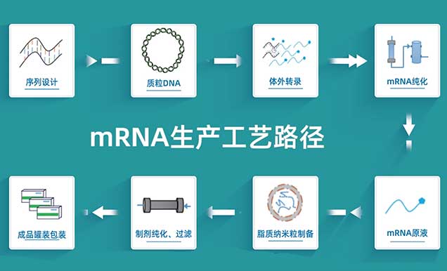 mRNA疫苗的出产工艺蹊径.jpg mRNA疫苗的出产工艺蹊径.jpg