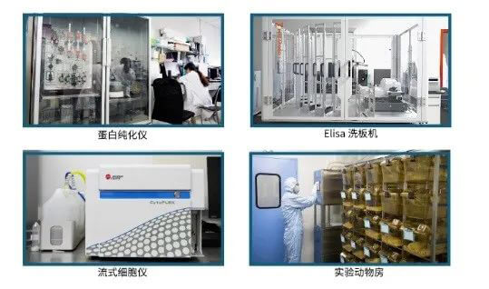 兰科博弈RankBet抗体开发平台.jpg 兰科博弈RankBet抗体开发平台.jpg