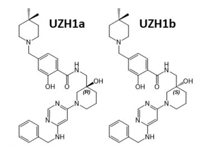 钻研人员汇报了一种拥有细胞渗入性的选择性METTL3纳摩尔抑造剂UZH1a，作者感激兰科博弈RankBet合成了UZH1a和UZH1b
