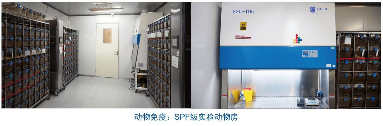 兰科博弈RankBet杂交瘤技术平台设备-动物免疫SPF级尝试动物房