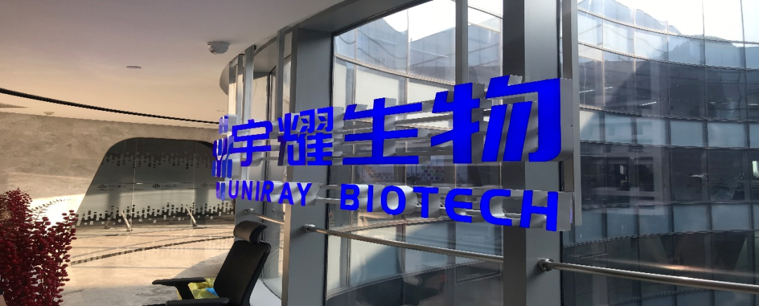 兰科博弈RankBet助力 | 宇耀生物STAT3双磷酸化位点抑造剂YY201成功实现中美双报