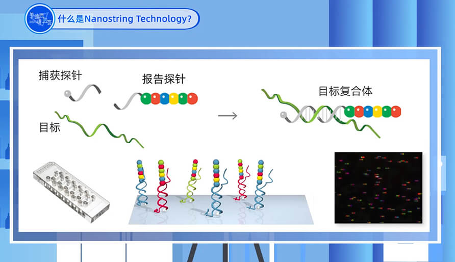 什么是Nanostring 技术？