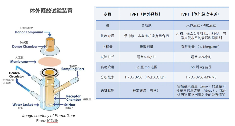 IVRT(体表开释)及IVPT(体表渗入)钻研.jpg IVRT(体表开释)及IVPT(体表渗入)钻研.jpg
