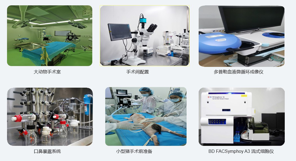 大动物尝试仪器设备.jpg 大动物尝试仪器设备.jpg