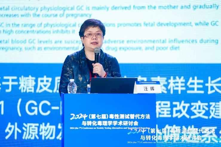 武汉大学汪晖教授作汇报.jpg 武汉大学汪晖教授作汇报.jpg