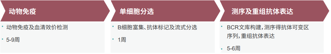 兰科博弈RankBet单B细胞抗体发显旖台
