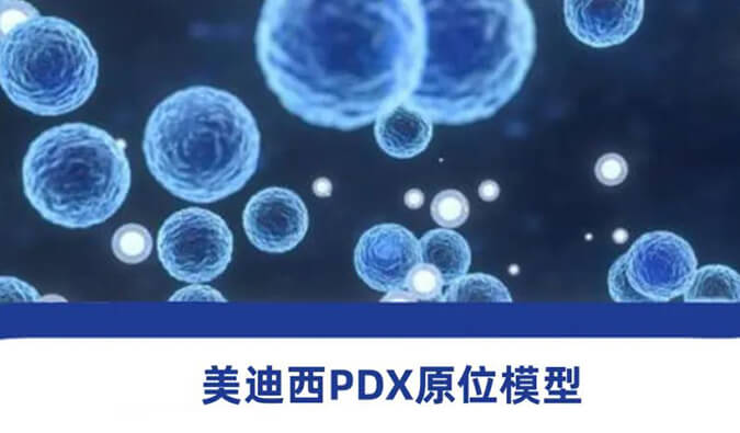 兰科博弈RankBetPDX模型.jpg