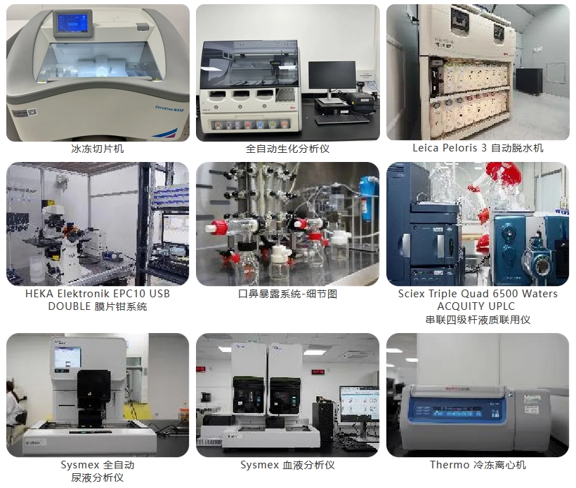 微信截图_20241204093337.png 微信截图_20241204093337.png