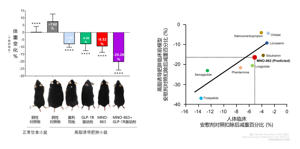 4周降低近10%体沉！兰科博弈RankBet助力慕恩生物MNO-863活菌生物药获批临床