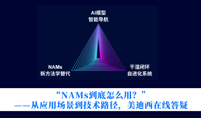 “NAMs到底怎么用？”——从利用场景到技术蹊径，兰科博弈RankBet在线答疑